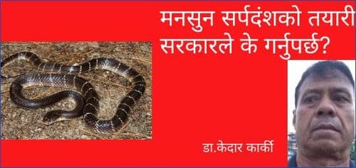 मनसुन सर्पदंशको तयारी सरकारले के गर्नुपर्छ?