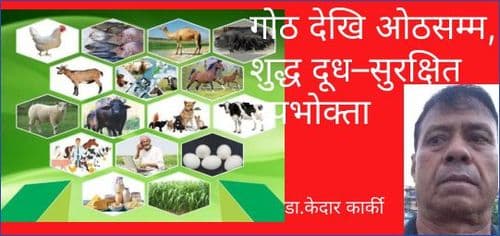 गोठ देखि ओठसम्म, शुद्ध दूध–सुरक्षित उपभोक्ता