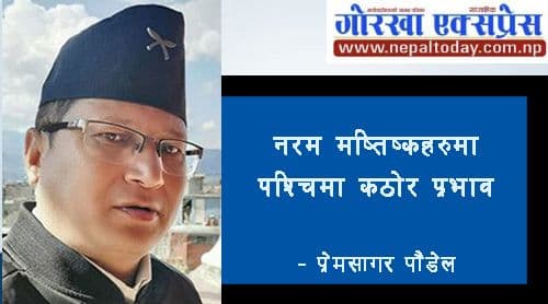 नरम मस्तिष्कहरूमा पश्चिमा कठोर प्रभाव
