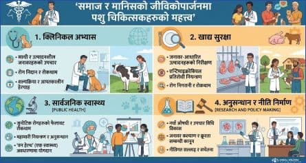समाजमा र पशु चिकित्सकहरूको महत्व