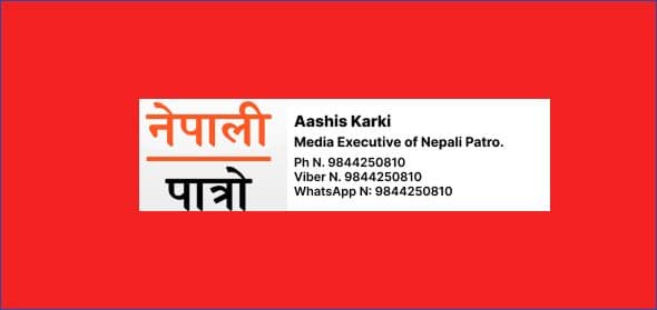 नेपा: एप सार्वजनिक, नेपाली डिजिटल प्लेटफर्म