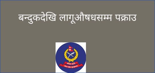 बन्दुकदेखि लागूऔषधसम्म पक्राउ