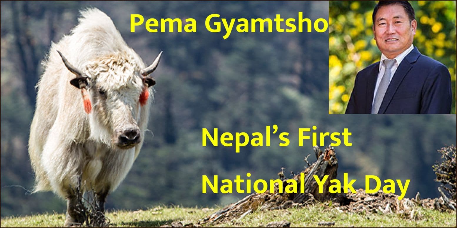 Nepal’s First National Yak Day