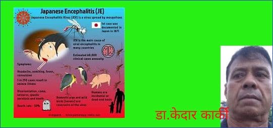 जापानी इन्सेफलाइटिस प्रकोप