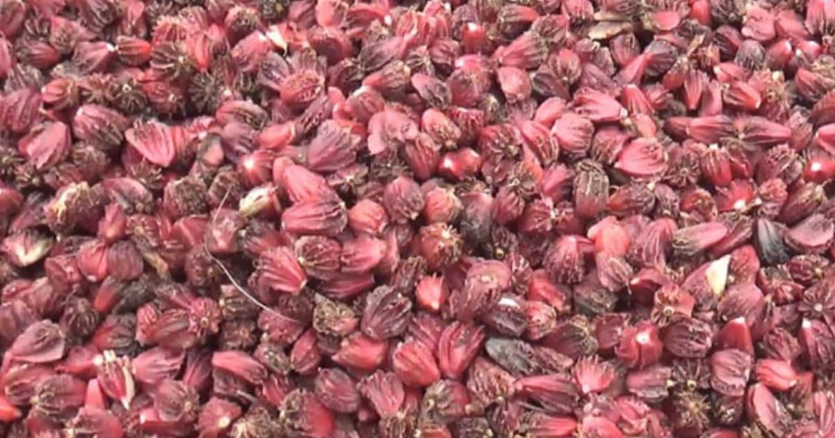 पाँच महिनामा ५ अर्ब ५३ करोड ३२ लाख बढीकाे अलैँची निर्यात