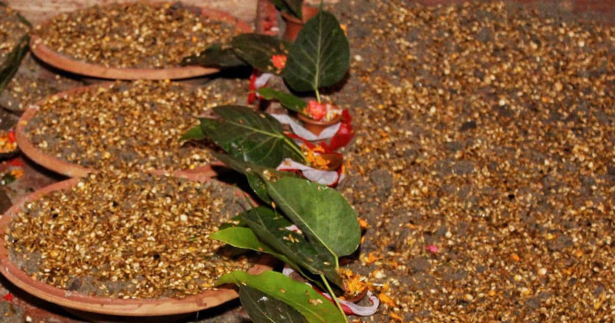 आजदेखि बडा दशैँ सुरु, घरघरमा जमरा राखिदै 