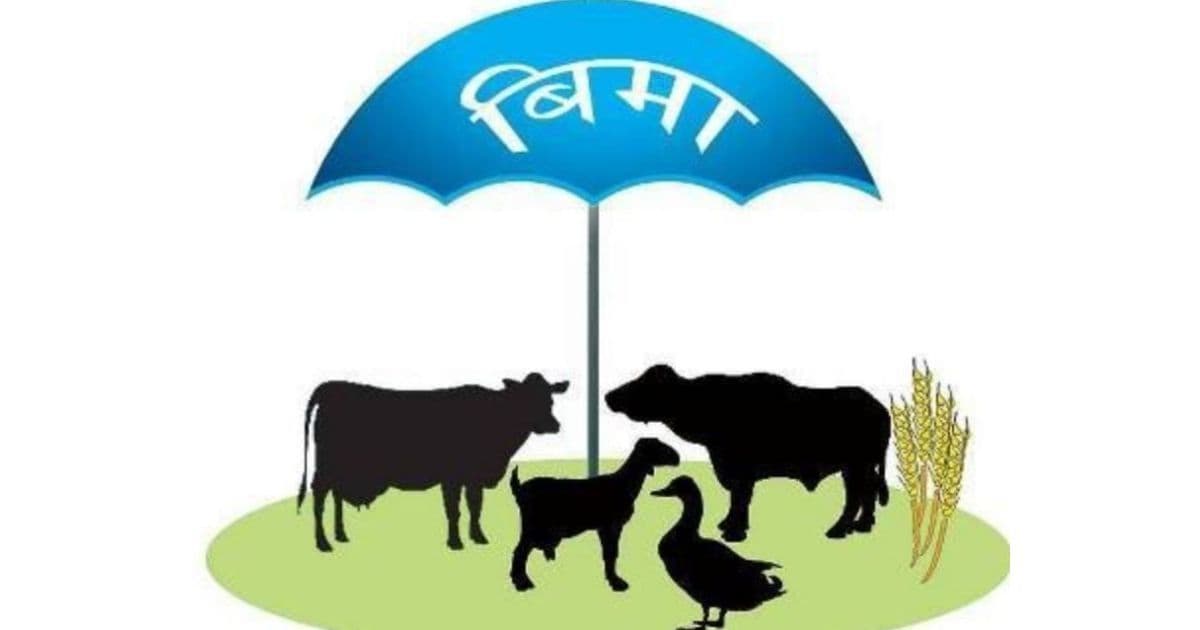 पनौतीमा पशु बीमा कार्यक्रमबाट ४ हजार बढी किसान लाभान्वित