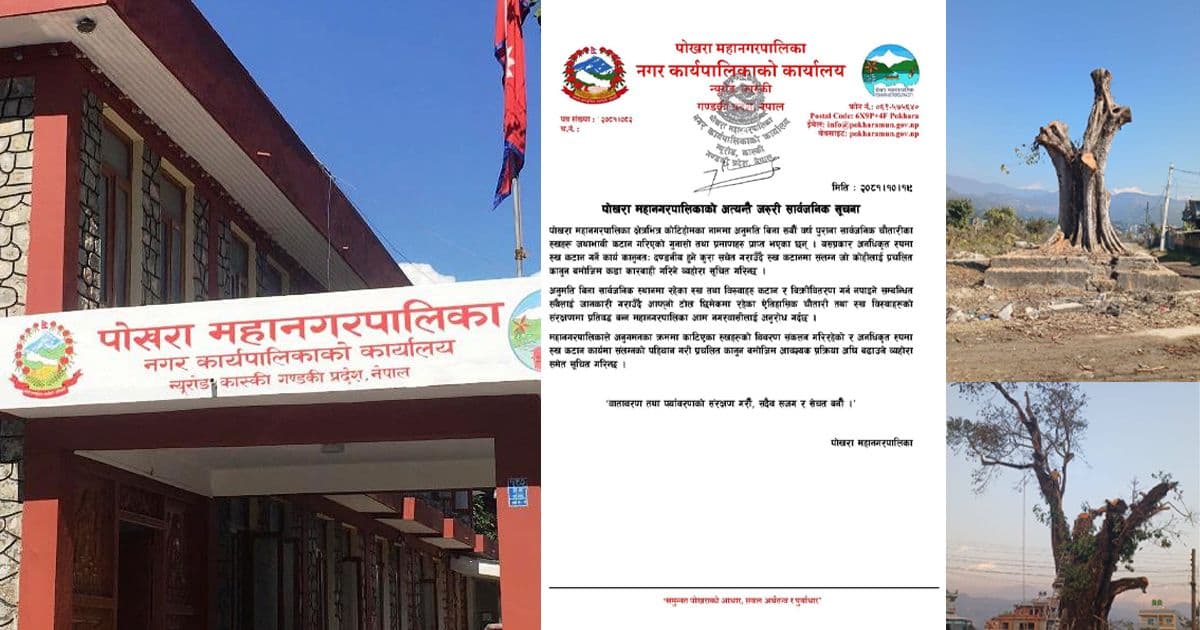 पोखरामा कोटिहोमका नाममा रुख कटान, विवरण संकलन गर्दै महानगर
