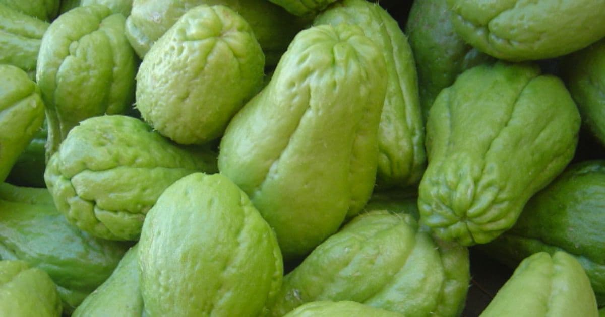 स्कुस प्रतिकिलो ७० रुपैयाँ अन्य फलफूल तथा तरकारीकाे मूल्य कति ?