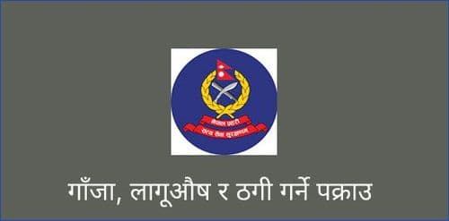 गाँजा, लागूऔष र ठगी गर्ने पक्राउ