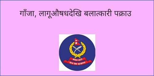 गाँजा, लागूऔषधदेखि बलात्कारी पक्राउ
