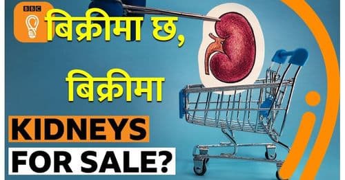 बिक्रीमा छ, बिक्रीमा