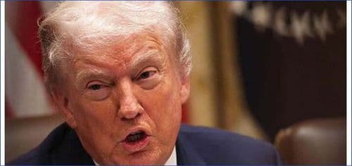 Deep Disapproval: Majority Of Indian Americans Oppose Trump And His Policies