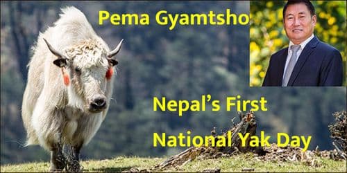 Nepal’s First National Yak Day