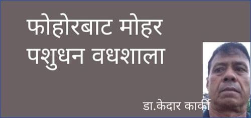 फोहोरबाट मोहर पशुधन वधशाला 
