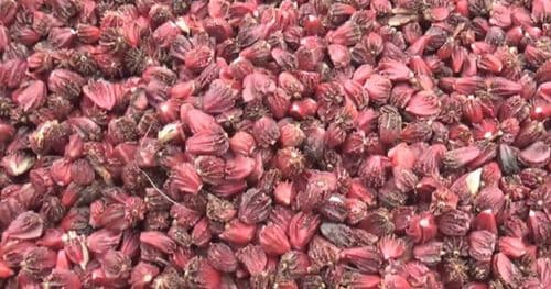 पाँच महिनामा ५ अर्ब ५३ करोड ३२ लाख बढीकाे अलैँची निर्यात