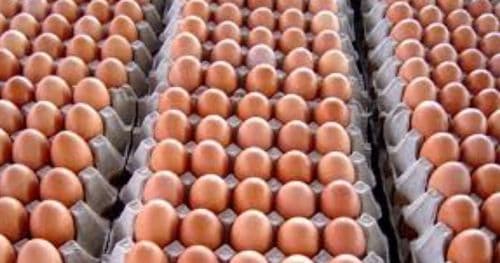 अण्डाको समर्थन मूल्य घट्याे