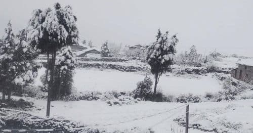 हिमपातले मध्यपहाडी लोकमार्ग अवरुद्ध