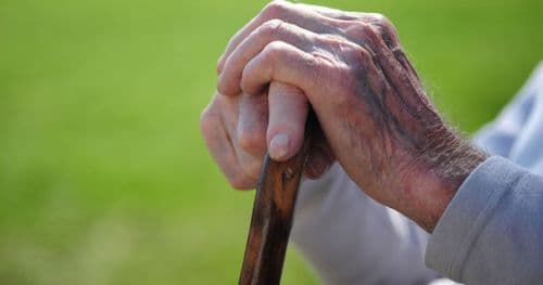 ज्येष्ठ नागरिक दिवस मनाइँदै