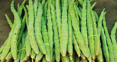 सजीवन प्रतिकेजी ४२० अन्य तरकारीकाे मूल्य कति ?