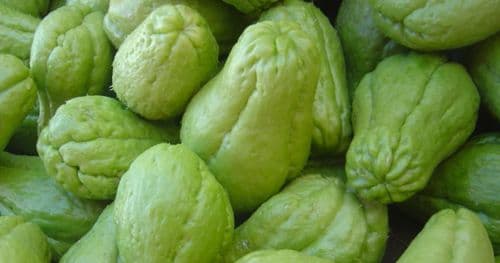 स्कुस प्रतिकिलो ७० रुपैयाँ अन्य फलफूल तथा तरकारीकाे मूल्य कति ?