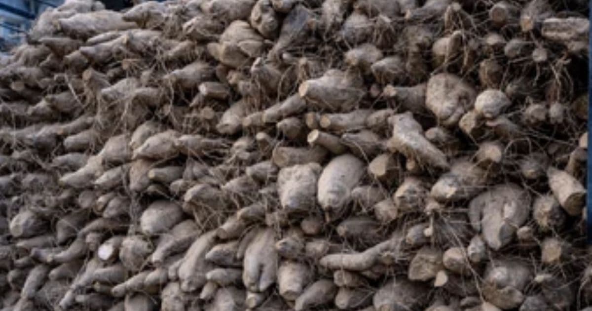 तरुल प्रतिकिलो ७० अन्य तरकारी तथा फलफूलकाे मूल्य कति ?