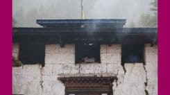 FCDO-backed study in Bhutan shows improved stoves can cut fuelwood use by up to 50%