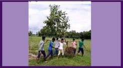 कांग्रेसका लागि रूख भारीभो