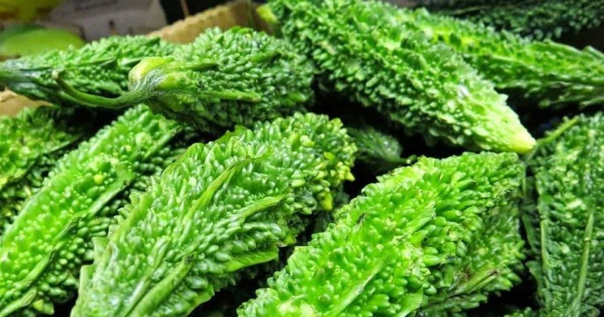 तितेकरेलामा अत्याधिक विषादी भेटियो 
