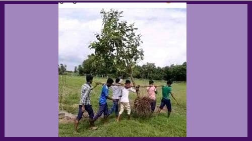 कांग्रेसका लागि रूख भारीभो