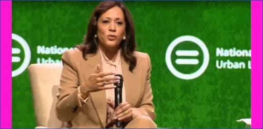 Kamala Harris Tells Democrats Their Midterm Vote Must Be ‘Too Big To Rig’