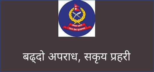 बढ्दो अपराध, सकृय प्रहरी