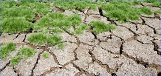 Earth’s Climate More Imbalanced Than Ever, Says WMO