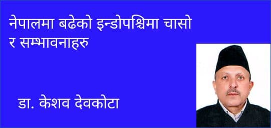 नेपालमा बढेको इन्डोपश्चिमा चासो र सम्भावनाहरु