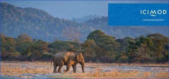 Where Communities Lead, Nature Recovers: International Biological Diversity Day 2026