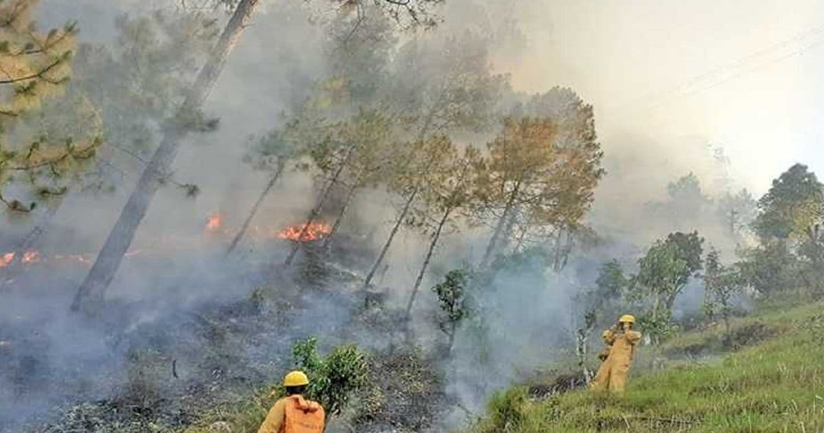 आगो निभाउने क्रममा घाइते भएका तीन सेनाको मृत्यु