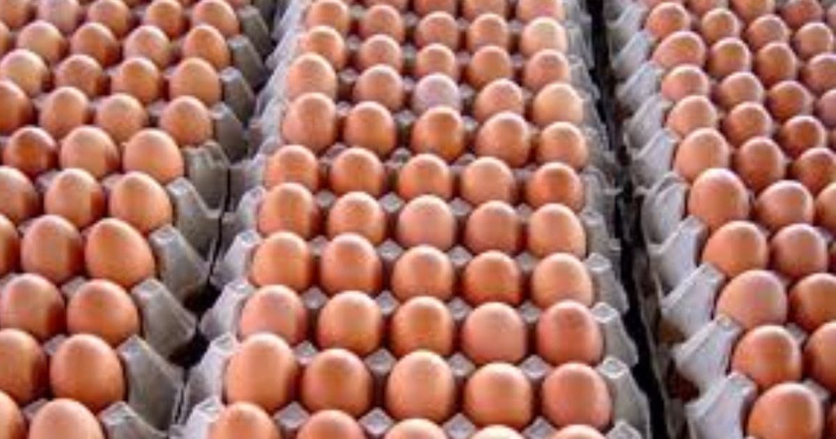 अण्डाको समर्थन मूल्य घट्याे