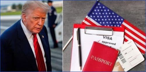 No Visa Curbs Yet, But Trump Admin Flags Foreign STEM Students As Security Risk