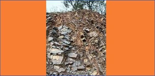 फलामै खानी चल्नेभो