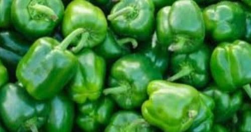 भेडे खुर्सानी ८० रुपैयाँ हुँदा अन्य फलफूल तथा तरकारीकाे मूल्य कति ?