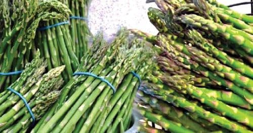 कुरिलो प्रतिकिलो १३ सय अरु तरकारीकाे मूल्य कति ?