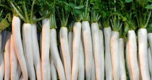 सेतो लोकल मूला प्रतिकिलो २० रुपैयाँ अन्य तरकारीकाे मूल्य कति ?