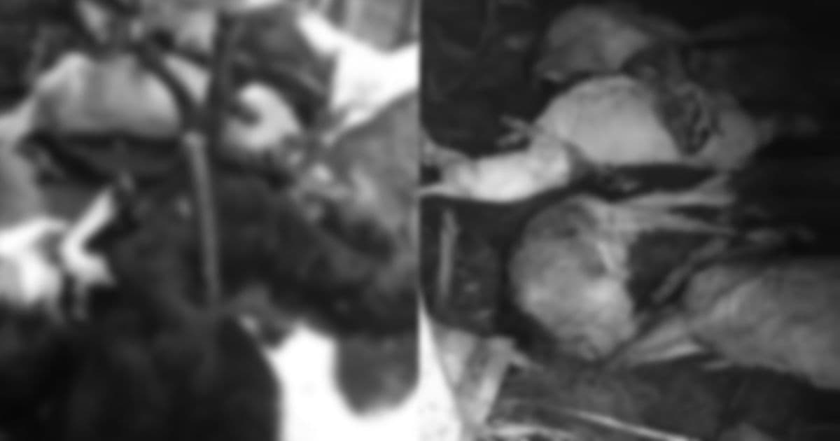 चौरीदेउरालीमा जंगली जनावरको आतंक